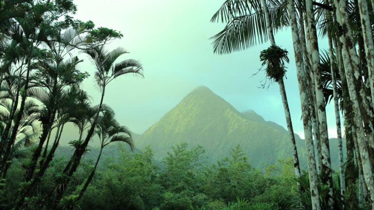 Martinique