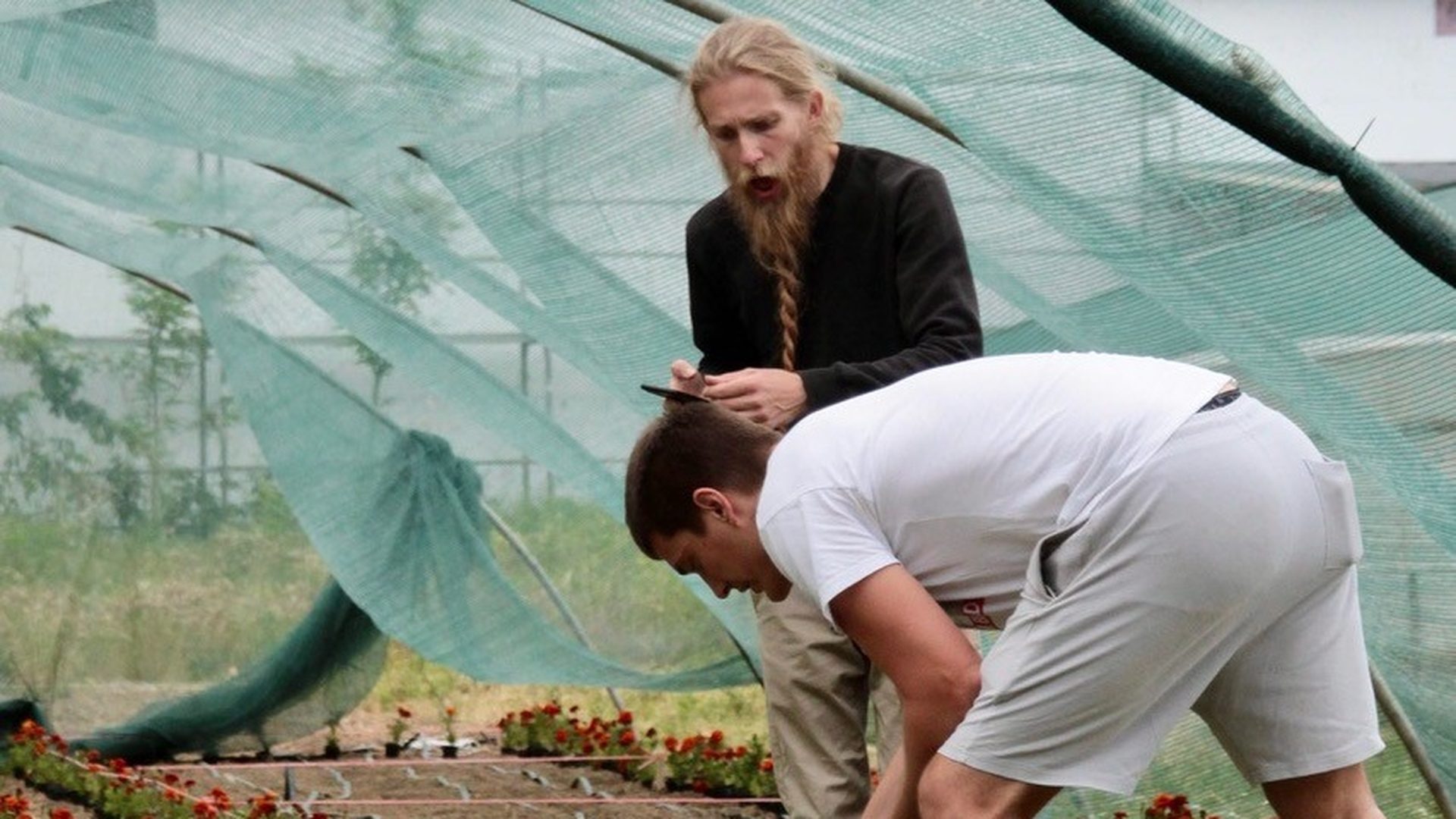 Two Plovi Farma team members tending seedlings in the greenhouse in Montenegro, with a dog in the foreground